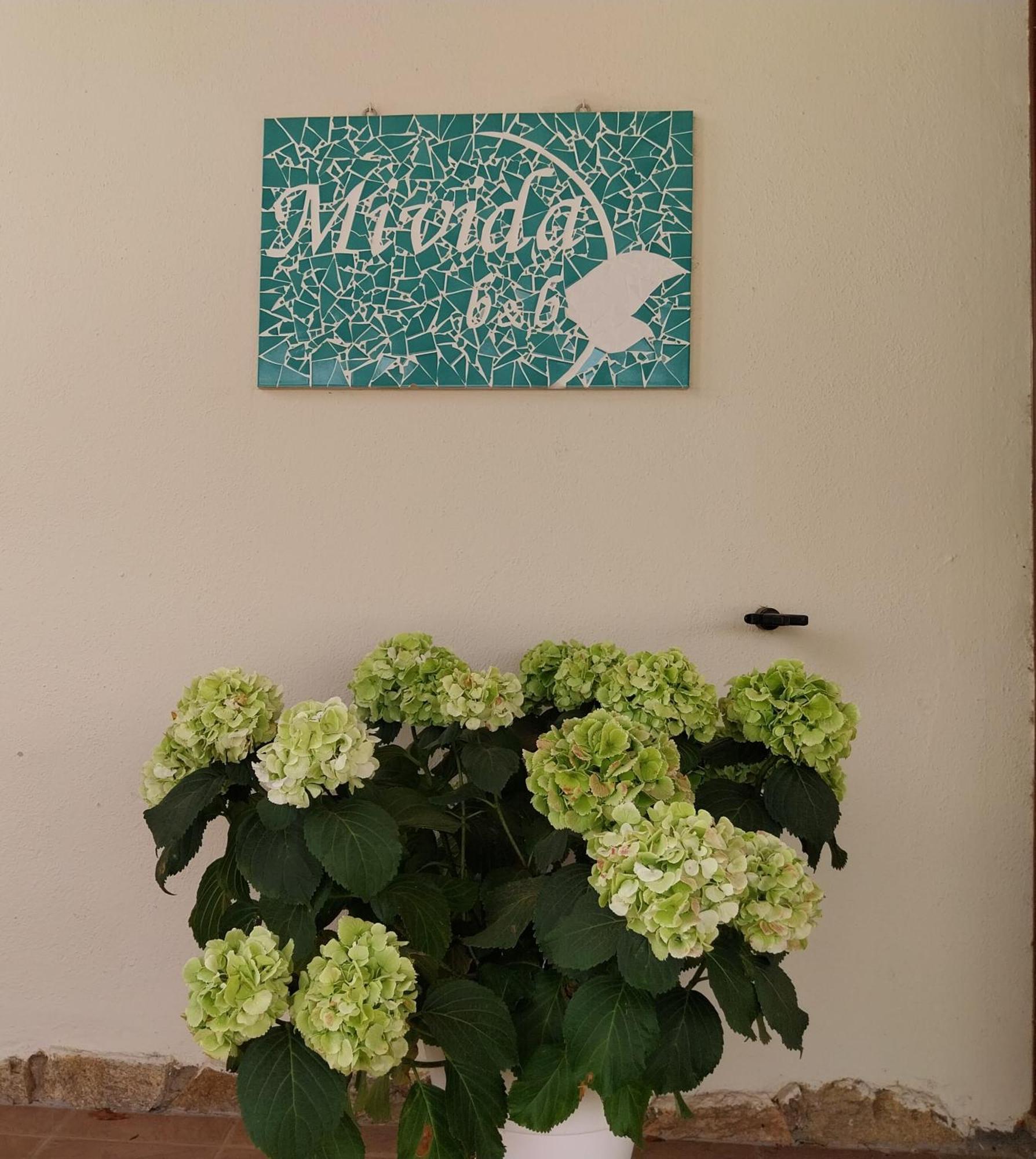 Mivida "Le Stanze Di Ada" Bed & Breakfast San Teodoro  Exterior photo